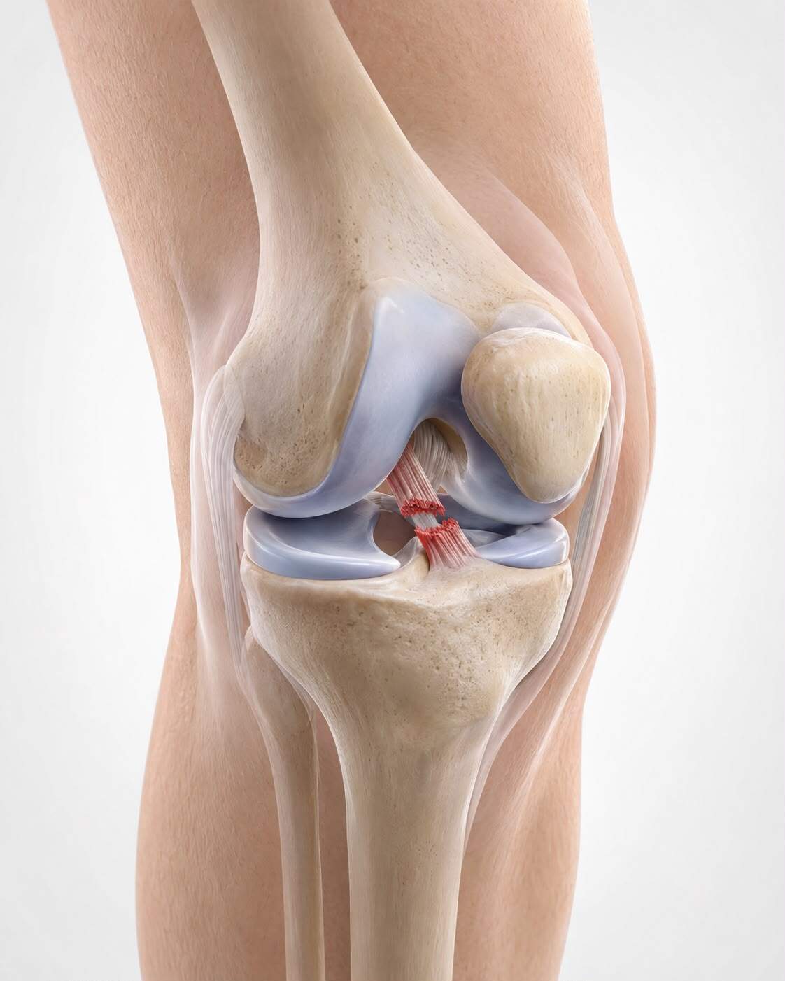 VKB-Reha nach OP: Evidenzbasierte & kriteriengeleitete Physiotherapie